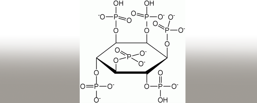 graphic of Phytate compound